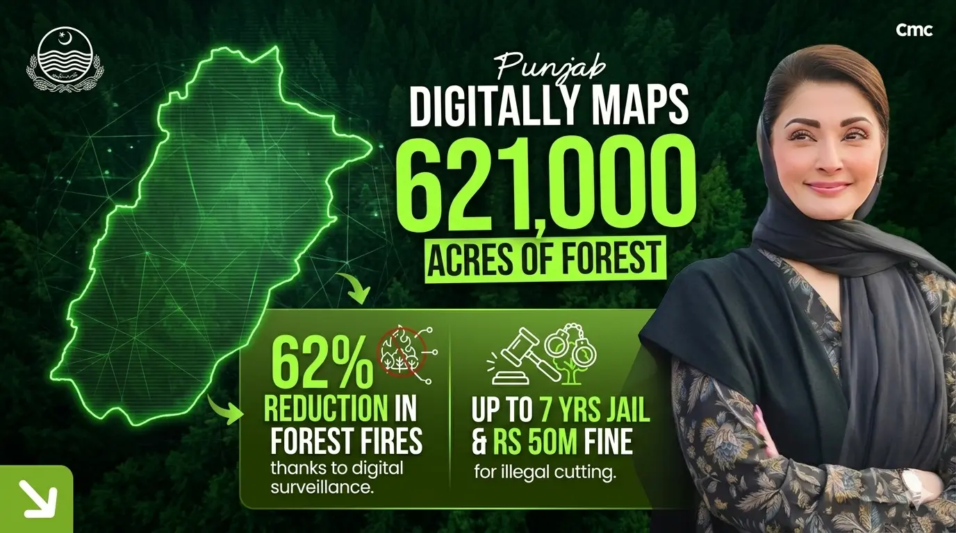 Punjab Maps 621000 Acres Forest via AI to Stop Logging